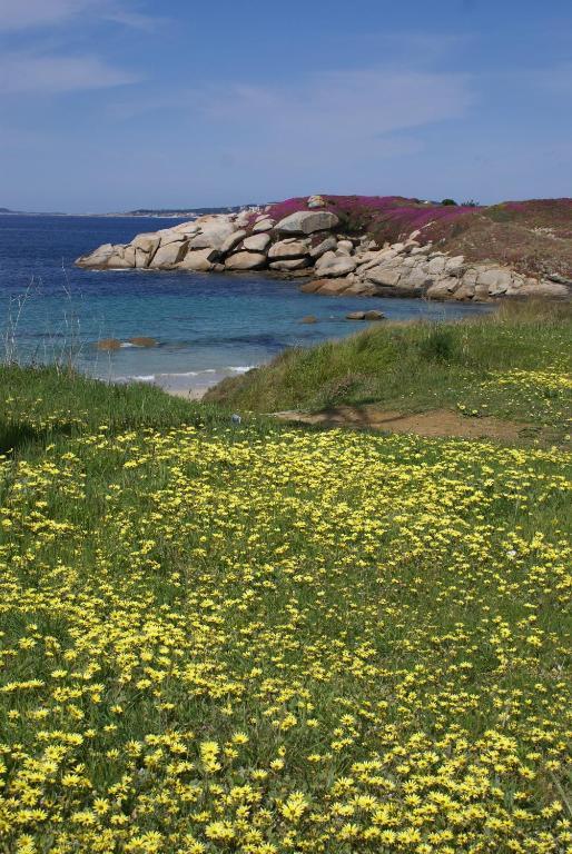 Hotel Pipo Sanxenxo Eksteriør billede